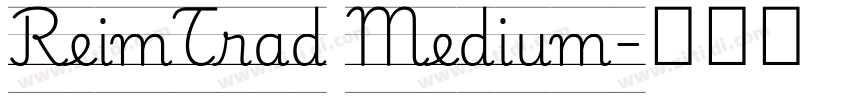 ReimTrad Medium字体转换